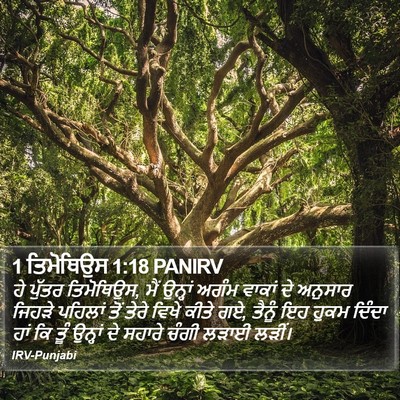 1 ਤਿਮੋਥਿਉਸ 1:18 PANIRV Bible Verse Image