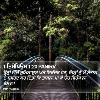 1 ਤਿਮੋਥਿਉਸ 1:20 PANIRV Bible Verse Image