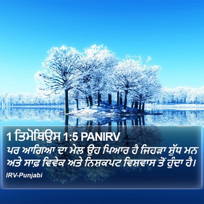 1 ਤਿਮੋਥਿਉਸ 1:5 PANIRV Bible Verse Image