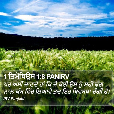 1 ਤਿਮੋਥਿਉਸ 1:8 PANIRV Bible Verse Image