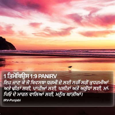 1 ਤਿਮੋਥਿਉਸ 1:9 PANIRV Bible Verse Image