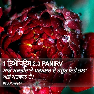 1 ਤਿਮੋਥਿਉਸ 2:3 PANIRV Bible Verse Image