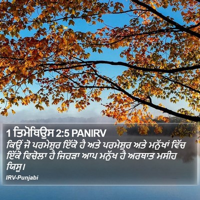 1 ਤਿਮੋਥਿਉਸ 2:5 PANIRV Bible Verse Image