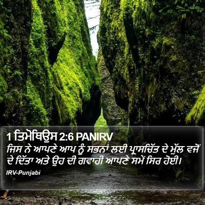 1 ਤਿਮੋਥਿਉਸ 2:6 PANIRV Bible Verse Image