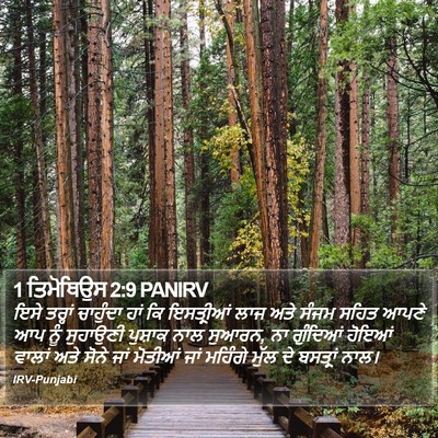 1 ਤਿਮੋਥਿਉਸ 2:9 PANIRV Bible Verse Image
