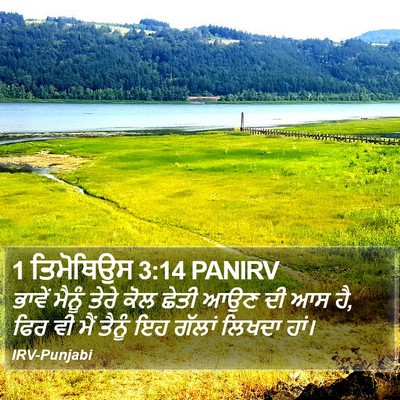 1 ਤਿਮੋਥਿਉਸ 3:14 PANIRV Bible Verse Image