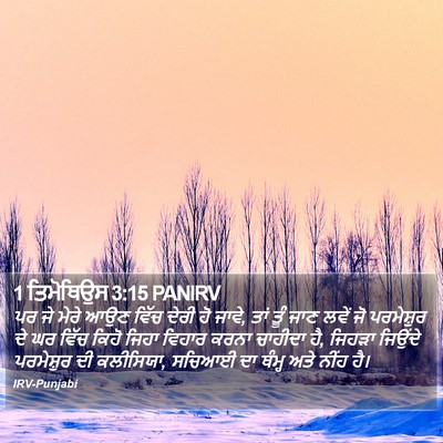 1 ਤਿਮੋਥਿਉਸ 3:15 PANIRV Bible Verse Image