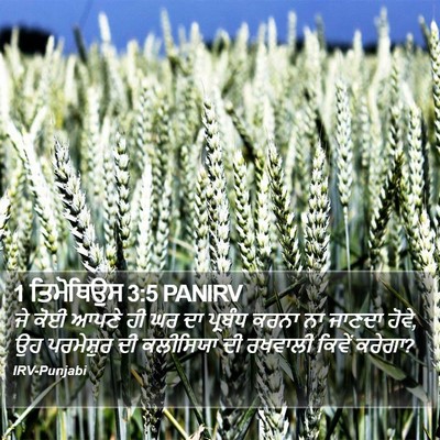 1 ਤਿਮੋਥਿਉਸ 3:5 PANIRV Bible Verse Image