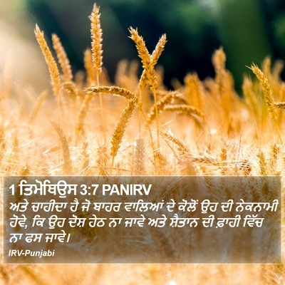 1 ਤਿਮੋਥਿਉਸ 3:7 PANIRV Bible Verse Image