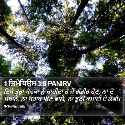 1 ਤਿਮੋਥਿਉਸ 3:8 PANIRV Bible Verse Image