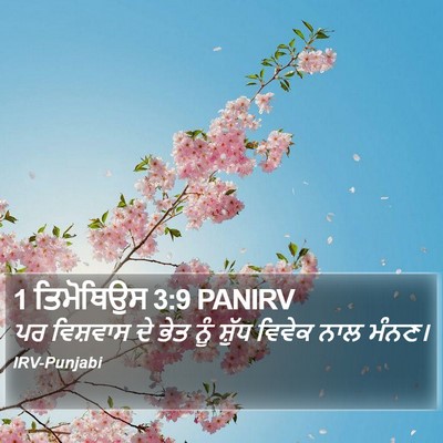 1 ਤਿਮੋਥਿਉਸ 3:9 PANIRV Bible Verse Image