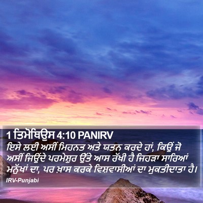 1 ਤਿਮੋਥਿਉਸ 4:10 PANIRV Bible Verse Image