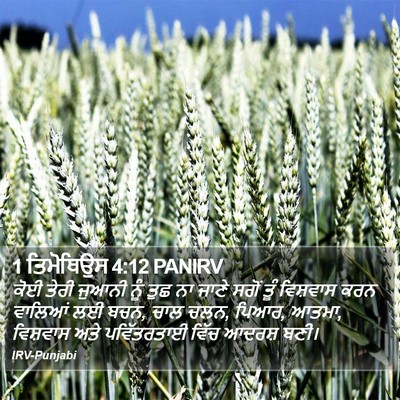 1 ਤਿਮੋਥਿਉਸ 4:12 PANIRV Bible Verse Image