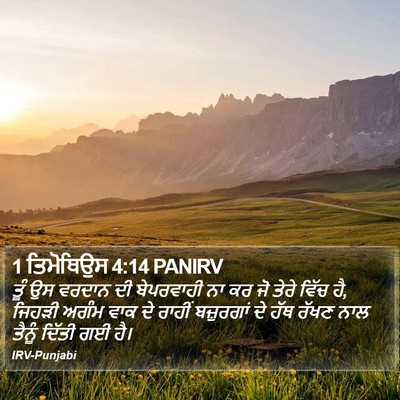 1 ਤਿਮੋਥਿਉਸ 4:14 PANIRV Bible Verse Image