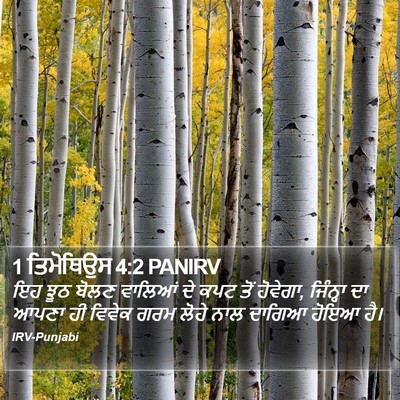 1 ਤਿਮੋਥਿਉਸ 4:2 PANIRV Bible Verse Image
