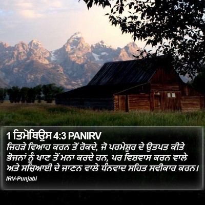 1 ਤਿਮੋਥਿਉਸ 4:3 PANIRV Bible Verse Image