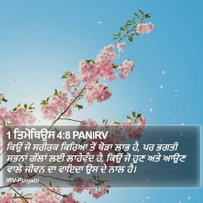 1 ਤਿਮੋਥਿਉਸ 4:8 PANIRV Bible Verse Image