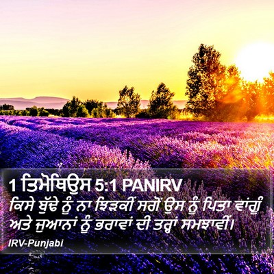 1 ਤਿਮੋਥਿਉਸ 5:1 PANIRV Bible Verse Image