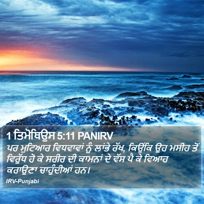 1 ਤਿਮੋਥਿਉਸ 5:11 PANIRV Bible Verse Image