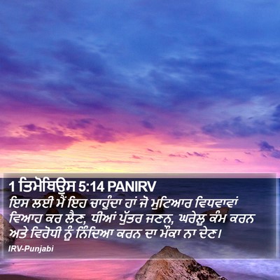 1 ਤਿਮੋਥਿਉਸ 5:14 PANIRV Bible Verse Image
