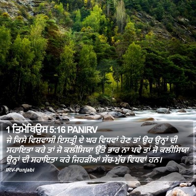 1 ਤਿਮੋਥਿਉਸ 5:16 PANIRV Bible Verse Image