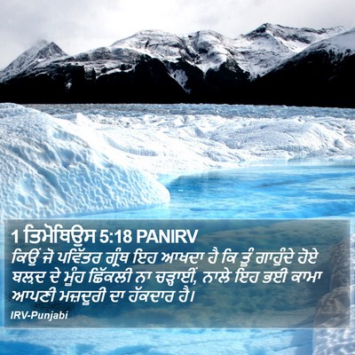 1 ਤਿਮੋਥਿਉਸ 5:18 PANIRV Bible Verse Image
