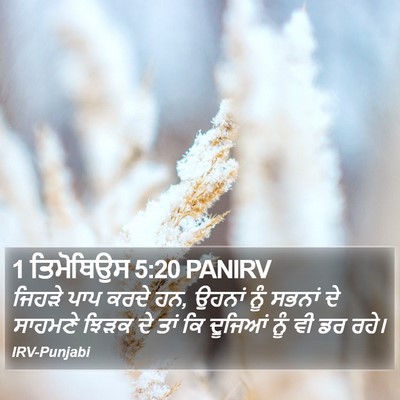 1 ਤਿਮੋਥਿਉਸ 5:20 PANIRV Bible Verse Image