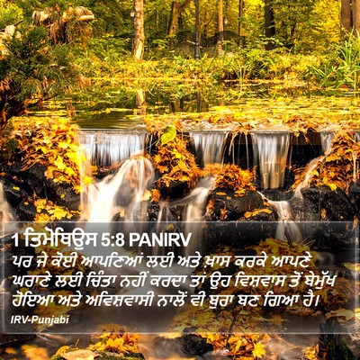 1 ਤਿਮੋਥਿਉਸ 5:8 PANIRV Bible Verse Image