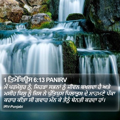 1 ਤਿਮੋਥਿਉਸ 6:13 PANIRV Bible Verse Image