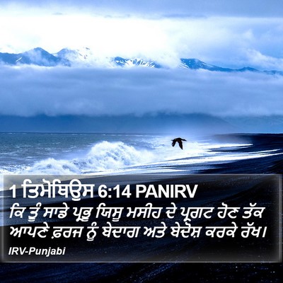 1 ਤਿਮੋਥਿਉਸ 6:14 PANIRV Bible Verse Image