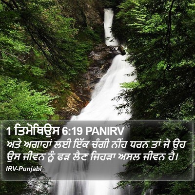 1 ਤਿਮੋਥਿਉਸ 6:19 PANIRV Bible Verse Image