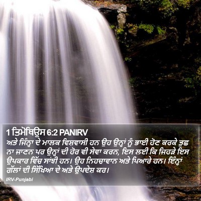 1 ਤਿਮੋਥਿਉਸ 6:2 PANIRV Bible Verse Image