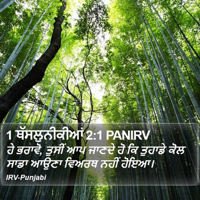 1 ਥੱਸਲੁਨੀਕੀਆਂ 2:1 PANIRV Bible Verse Image
