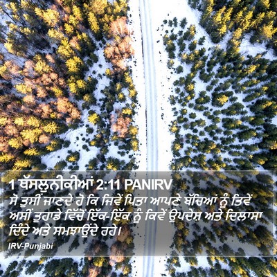 1 ਥੱਸਲੁਨੀਕੀਆਂ 2:11 PANIRV Bible Verse Image