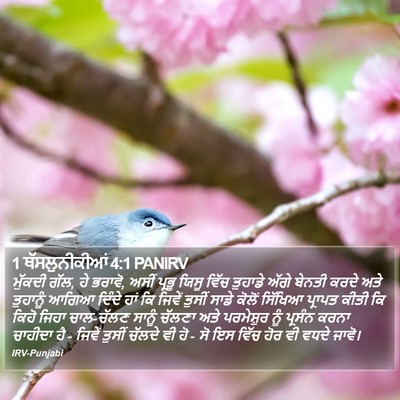 1 ਥੱਸਲੁਨੀਕੀਆਂ 4:1 PANIRV Bible Verse Image