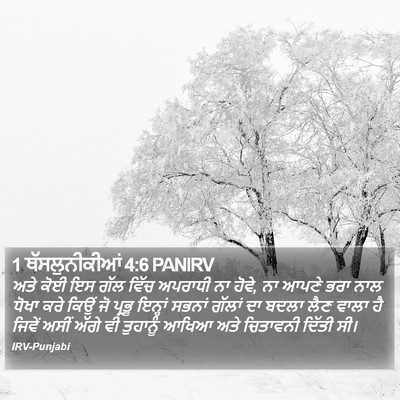 1 ਥੱਸਲੁਨੀਕੀਆਂ 4:6 PANIRV Bible Verse Image