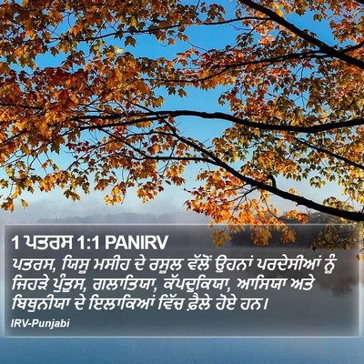1 ਪਤਰਸ 1:1 PANIRV Bible Verse Image
