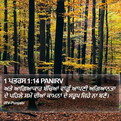 1 ਪਤਰਸ 1:14 PANIRV Bible Verse Image
