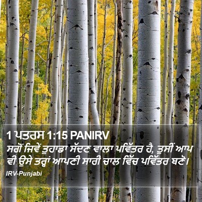 1 ਪਤਰਸ 1:15 PANIRV Bible Verse Image
