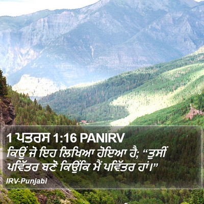 1 ਪਤਰਸ 1:16 PANIRV Bible Verse Image