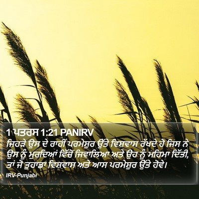 1 ਪਤਰਸ 1:21 PANIRV Bible Verse Image