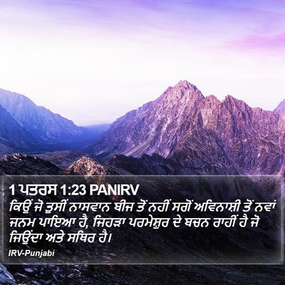 1 ਪਤਰਸ 1:23 PANIRV Bible Verse Image