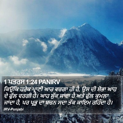 1 ਪਤਰਸ 1:24 PANIRV Bible Verse Image