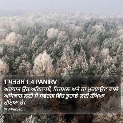 1 ਪਤਰਸ 1:4 PANIRV Bible Verse Image