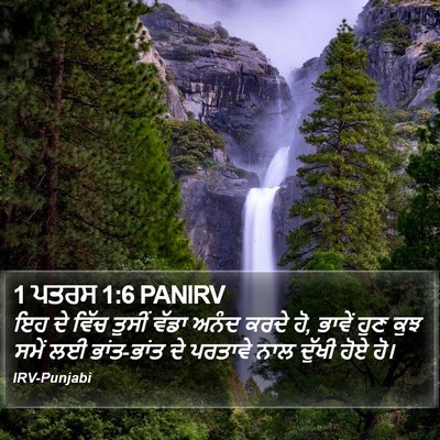 1 ਪਤਰਸ 1:6 PANIRV Bible Verse Image