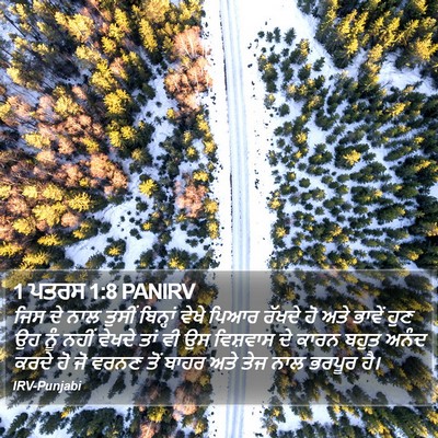 1 ਪਤਰਸ 1:8 PANIRV Bible Verse Image