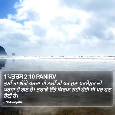 1 ਪਤਰਸ 2:10 PANIRV Bible Verse Image