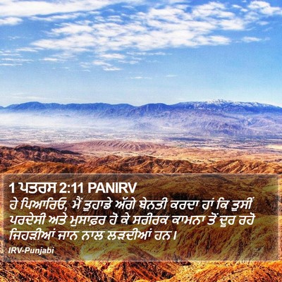 1 ਪਤਰਸ 2:11 PANIRV Bible Verse Image
