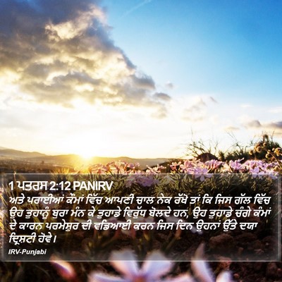 1 ਪਤਰਸ 2:12 PANIRV Bible Verse Image