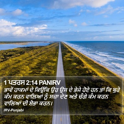 1 ਪਤਰਸ 2:14 PANIRV Bible Verse Image